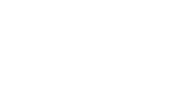 cleverpoint